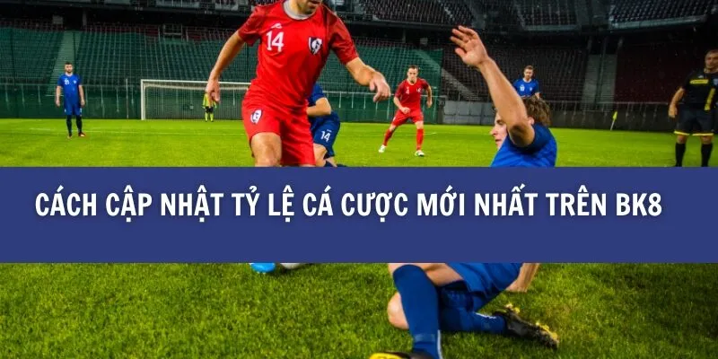 Cập Nhật Tỷ Lệ Cá Cược Mới Nhất Trên BK8