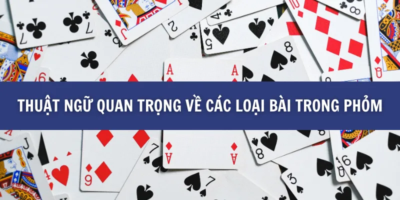 Những Thuật Ngữ Quan Trọng Trong Phỏm Bạn Cần Biết khi Chơi tại BK8
